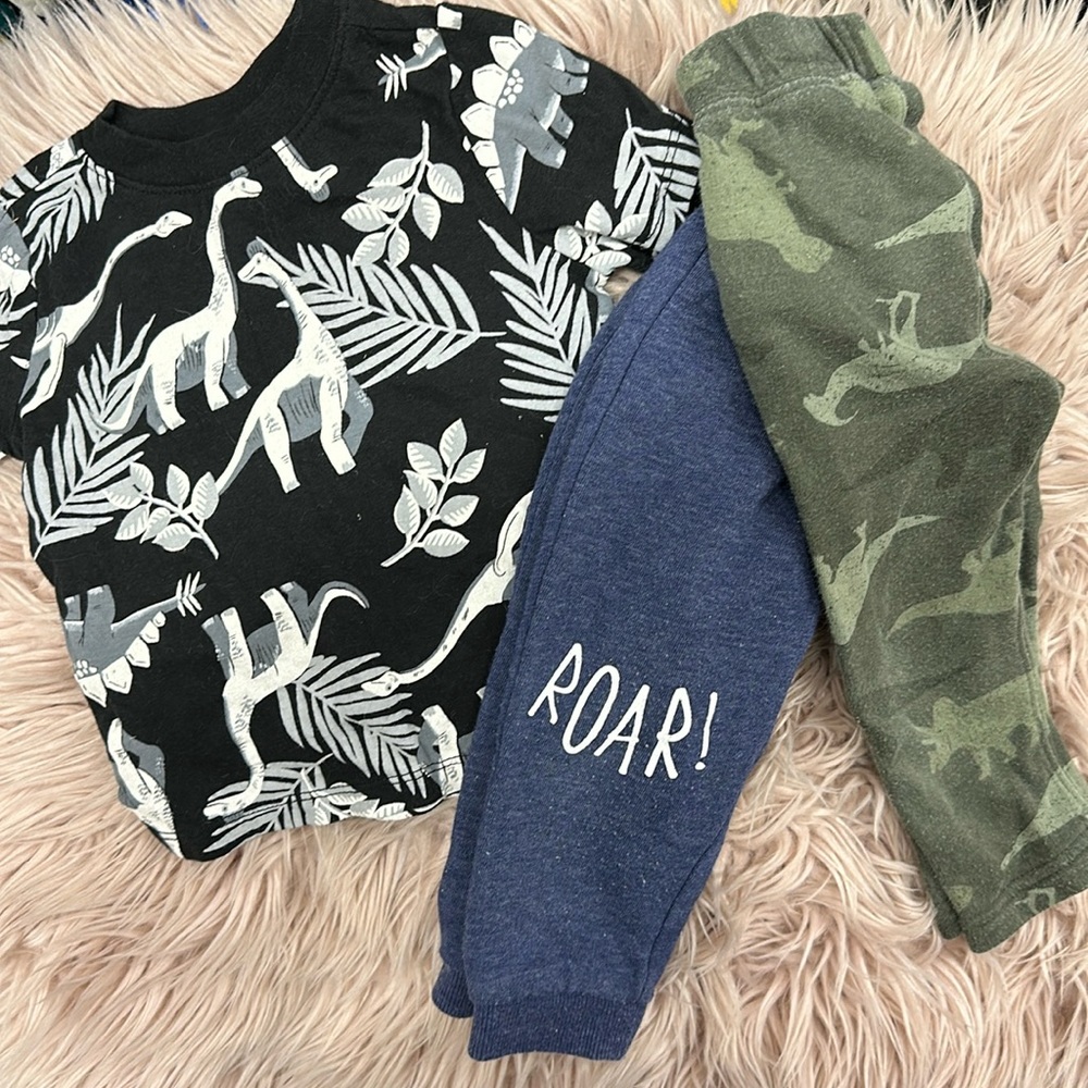 Dinosaur Set